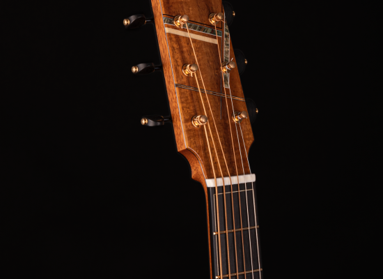 Model OM