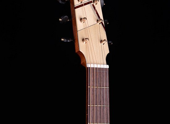 Model OM