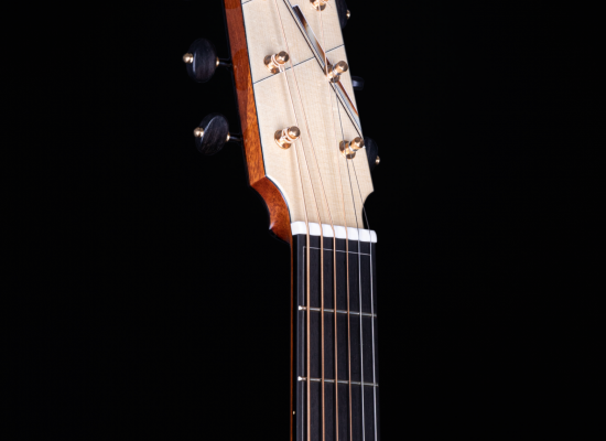 Model OM