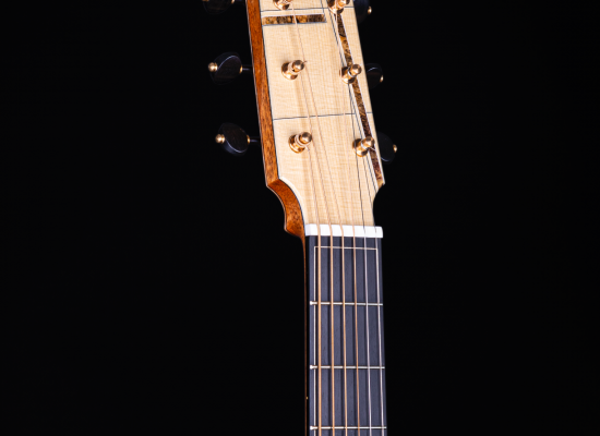 Model OM
