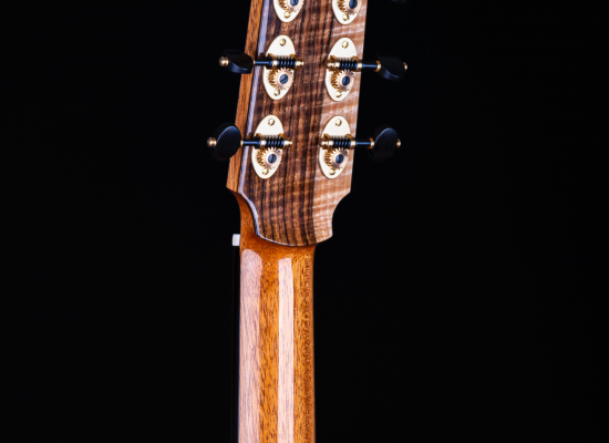 Model OM