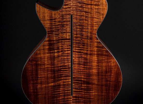 Model OM